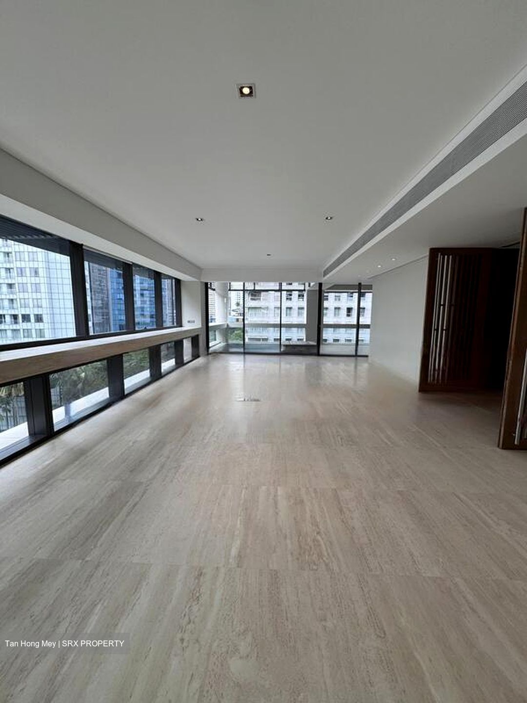 Hana (D10), Condominium #497123071